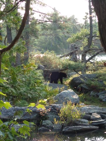 Photo from Kayaking Franklin Island For R&R