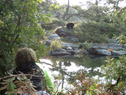 Photo from Kayaking Franklin Island For R&R