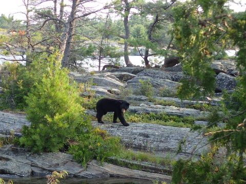 Photo from Kayaking Franklin Island For R&R
