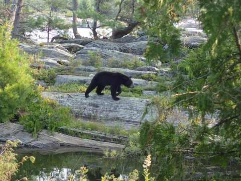 Photo from Kayaking Franklin Island For R&R