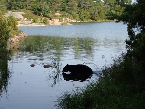 Photo from Kayaking Franklin Island For R&R