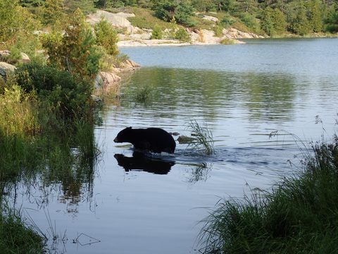 Photo from Kayaking Franklin Island For R&R