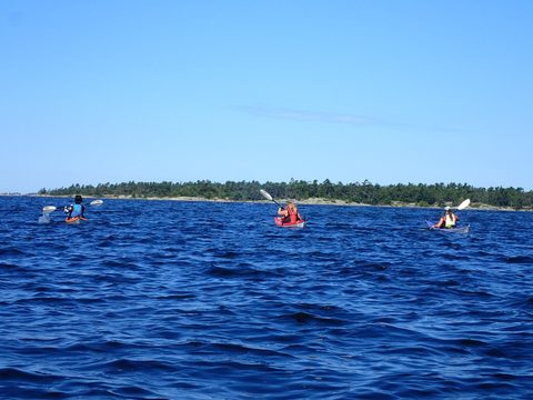 Photo from Kayaking Franklin, an Island Paradise