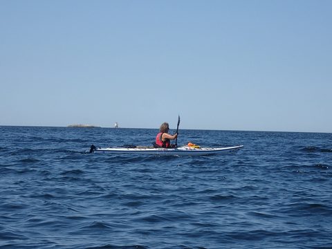 Photo from Kayaking Franklin, an Island Paradise