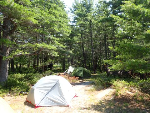 Photo from Kayaking Franklin, an Island Paradise