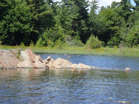 Photo from Kayaking Franklin, an Island Paradise