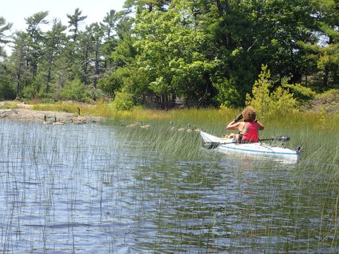 Photo from Kayaking Franklin, an Island Paradise