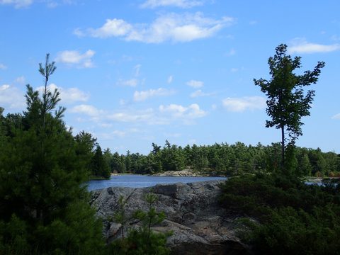 Photo from Kayaking Franklin, an Island Paradise