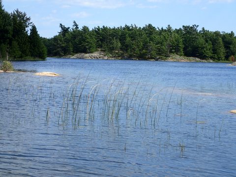 Photo from Kayaking Franklin, an Island Paradise