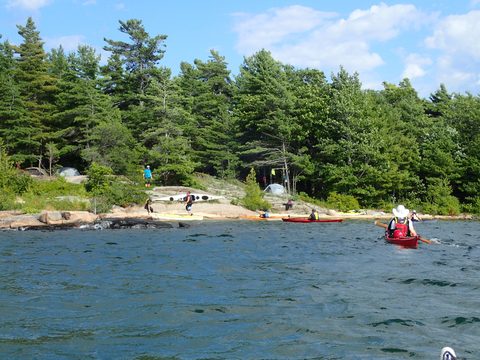 Photo from Kayaking Franklin, an Island Paradise