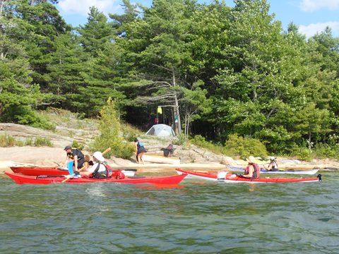 Photo from Kayaking Franklin, an Island Paradise