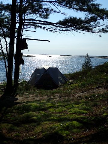 Photo from Kayaking Franklin, an Island Paradise