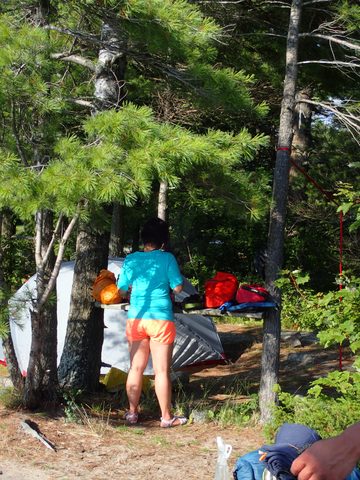 Photo from Kayaking Franklin, an Island Paradise