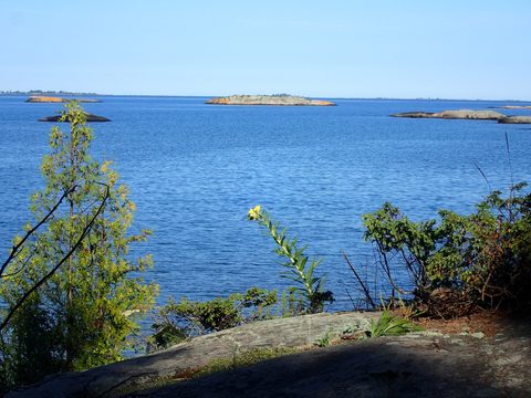 Photo from Kayaking Franklin, an Island Paradise