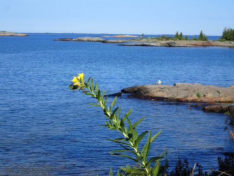 Photo from Kayaking Franklin, an Island Paradise