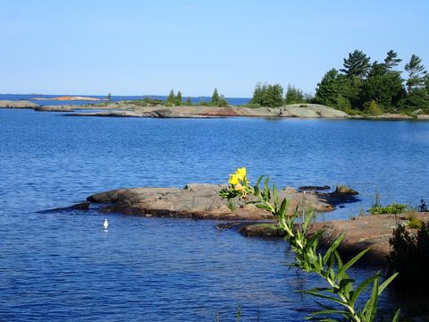 Photo from Kayaking Franklin, an Island Paradise