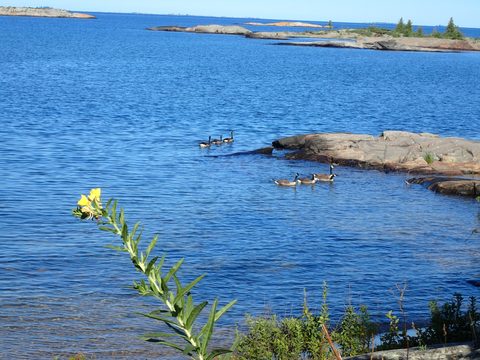 Photo from Kayaking Franklin, an Island Paradise