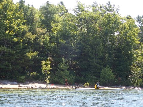 Photo from Kayaking Franklin, an Island Paradise