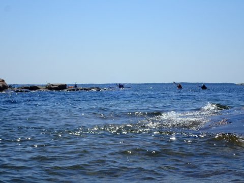Photo from Kayaking Franklin, an Island Paradise