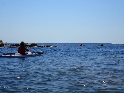 Photo from Kayaking Franklin, an Island Paradise