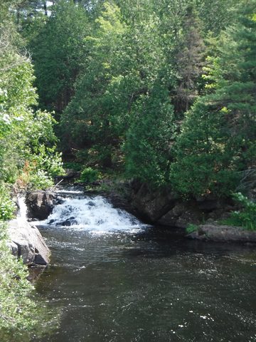 Photo from Point Grondine Canoe Trip