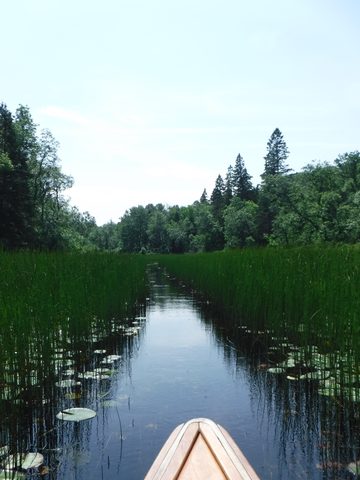 Photo from Point Grondine Canoe Trip