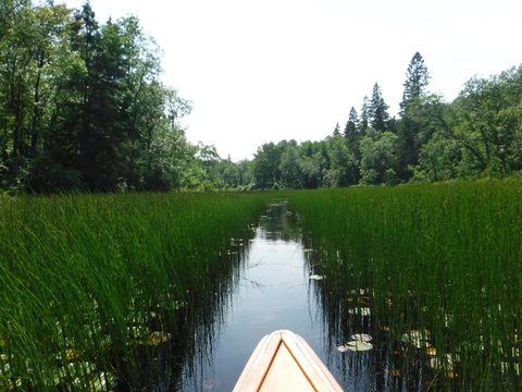 Photo from Point Grondine Canoe Trip