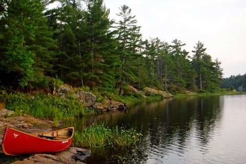 Photo from Point Grondine Canoe Trip