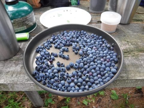 Photo from Point Grondine Canoe Trip