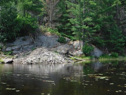 Photo from Point Grondine Canoe Trip