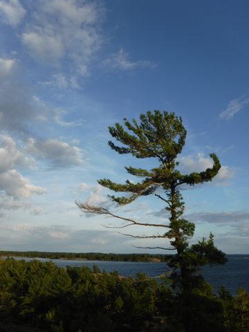 Photo from Kayaking to Phillip Edward Island - Aug long weekend edition