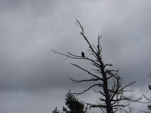 Photo from Kayaking to Phillip Edward Island - Aug long weekend edition