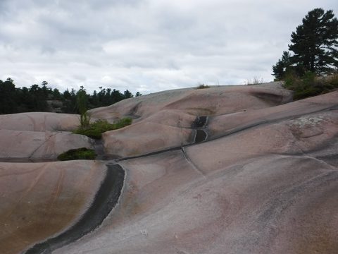 Photo from Kayaking to Phillip Edward Island - Aug long weekend edition