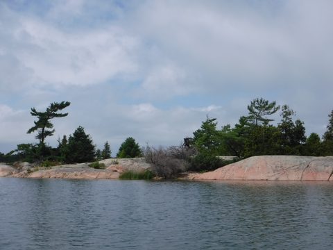 Photo from Kayaking to Phillip Edward Island - Aug long weekend edition