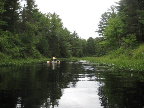 Photo from LONG WEEKEND CANOE TO NOGANOSH LAKE