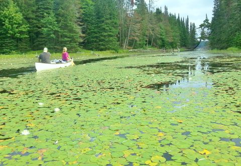 Photo from LONG WEEKEND CANOE TO NOGANOSH LAKE
