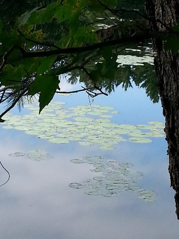 Photo from LONG WEEKEND CANOE TO NOGANOSH LAKE