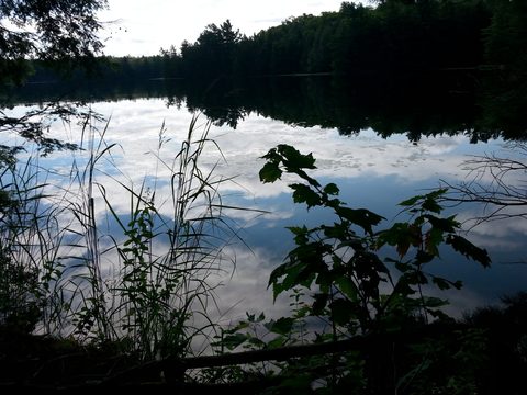 Photo from LONG WEEKEND CANOE TO NOGANOSH LAKE