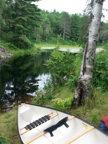 Photo from LONG WEEKEND CANOE TO NOGANOSH LAKE