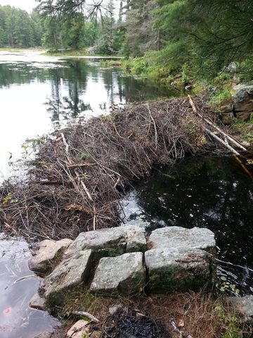 Photo from LONG WEEKEND CANOE TO NOGANOSH LAKE