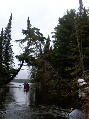 Photo from LONG WEEKEND CANOE TO NOGANOSH LAKE