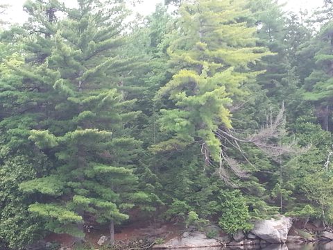 Photo from LONG WEEKEND CANOE TO NOGANOSH LAKE