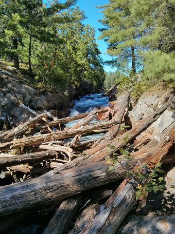 Photo from Wolf Lake/Paradise Lagoon Canoe Trip (5 day Intermediate and above)