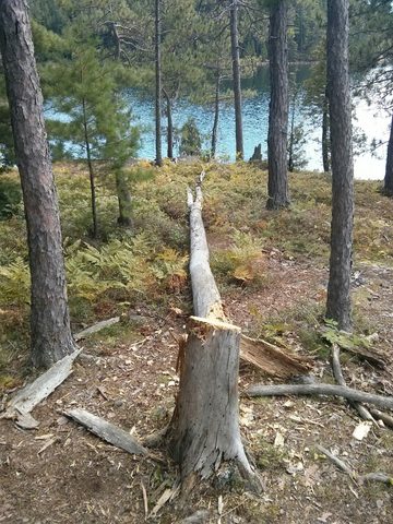 Photo from Wolf Lake/Paradise Lagoon Canoe Trip (5 day Intermediate and above)