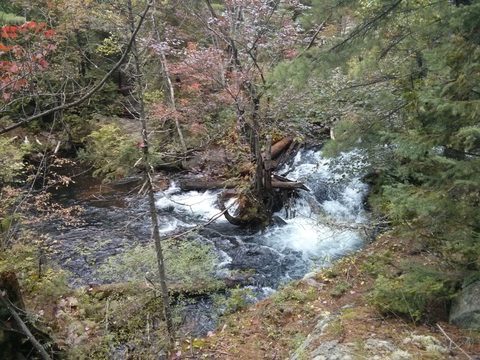 Photo from Wolf Lake/Paradise Lagoon Canoe Trip (5 day Intermediate and above)