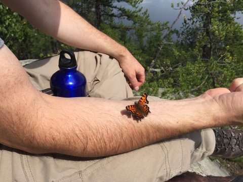 Photo from Wolf Lake/Paradise Lagoon Canoe Trip (5 day Intermediate and above)