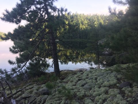 Photo from Wolf Lake/Paradise Lagoon Canoe Trip (5 day Intermediate and above)