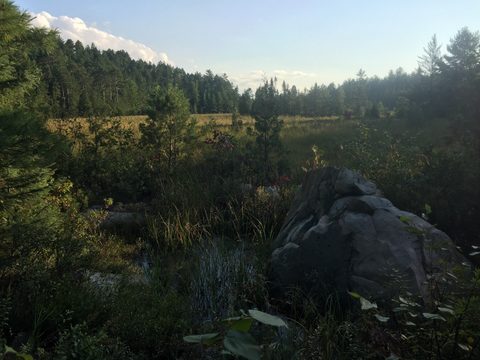 Photo from Wolf Lake/Paradise Lagoon Canoe Trip (5 day Intermediate and above)