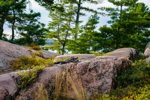 Photo from Long Weekend  Killarney Island Hopping/ Exploration