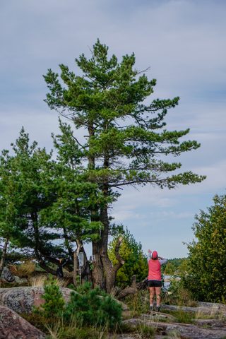 Photo from Long Weekend  Killarney Island Hopping/ Exploration